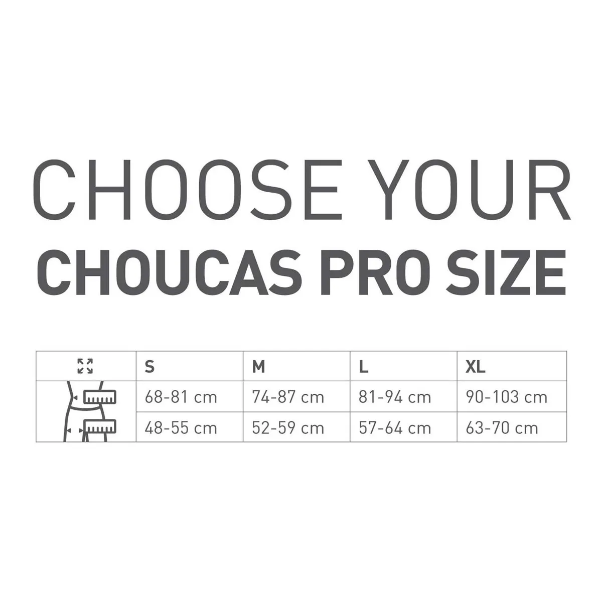Arnés blue ice Choucas Pro Harness