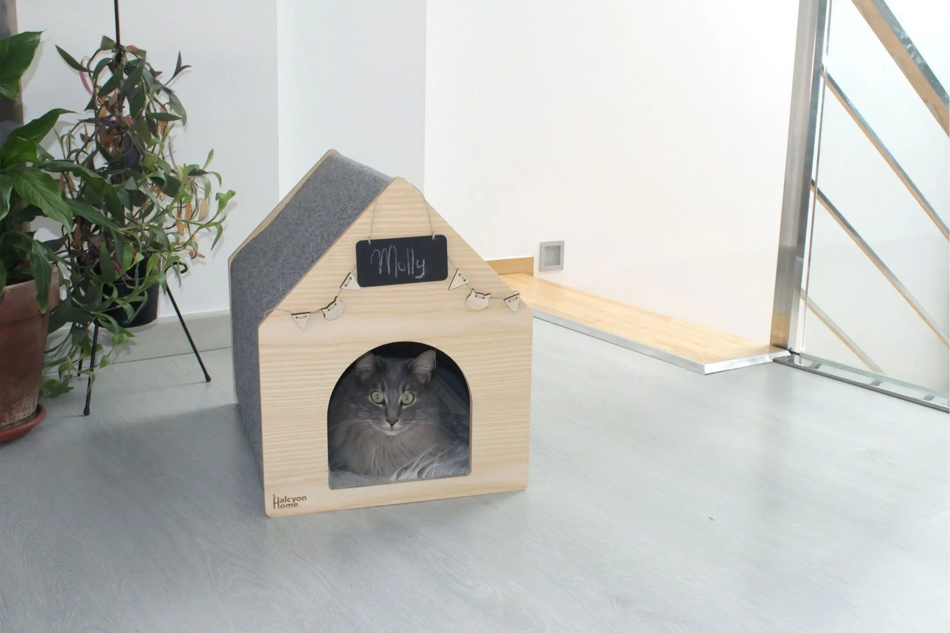 Casa para gatos de diseño