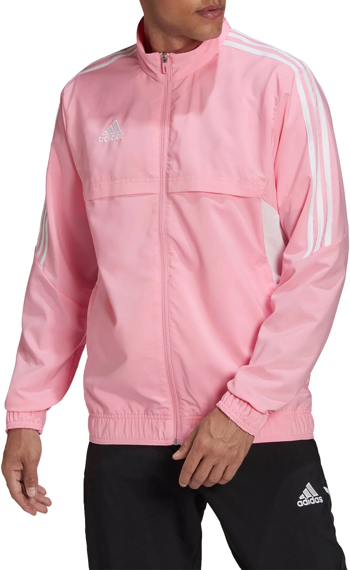 Chaqueta adidas CON22 PRE JKT