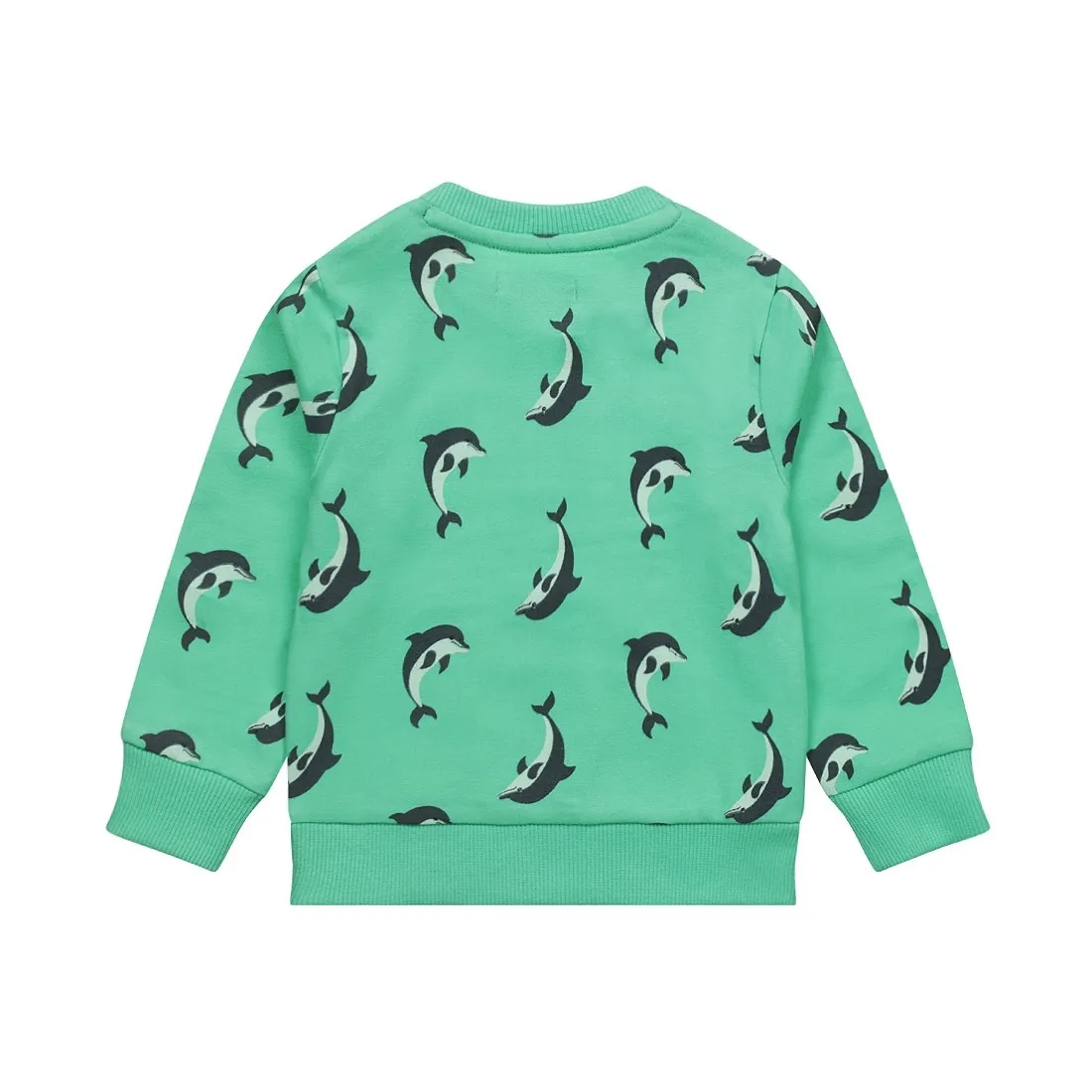 DIRKJE SWEATER LM R5073635