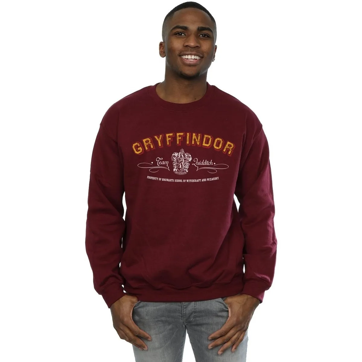 Gryffindor Team Quidditch
