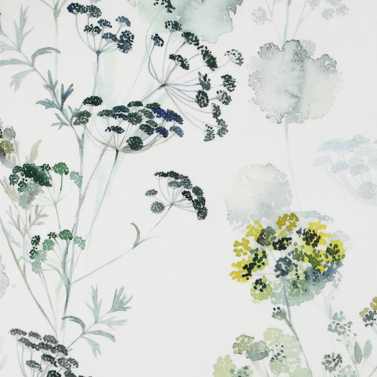 HERBIER