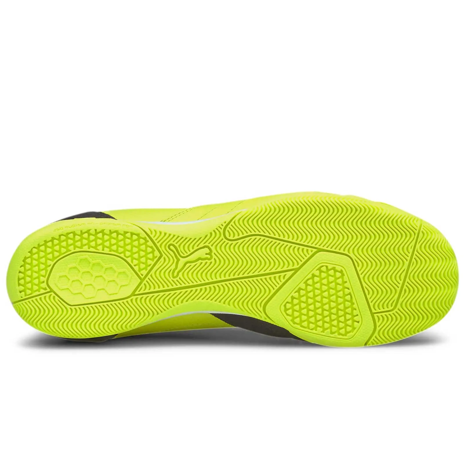 Puma Ibero