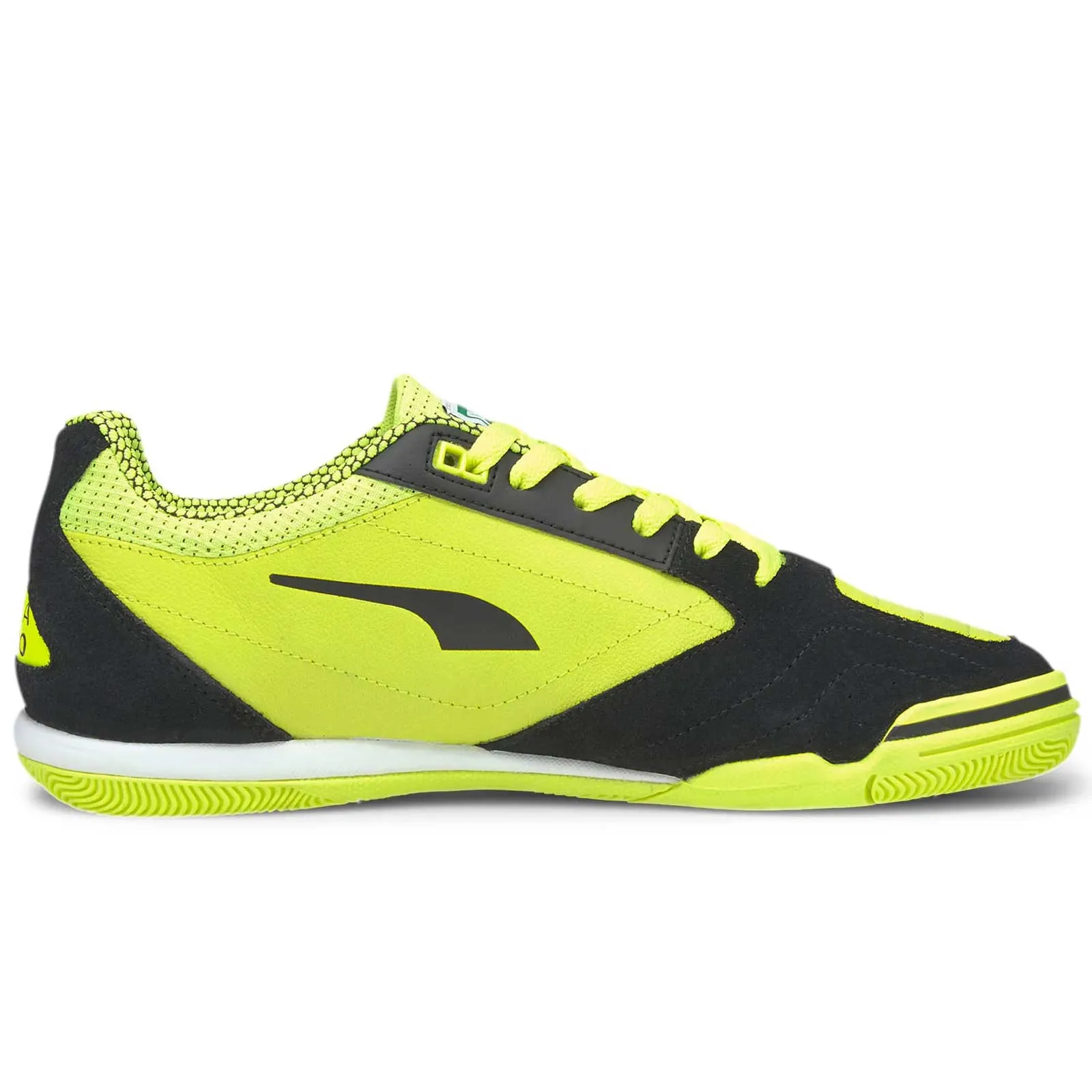 Puma Ibero