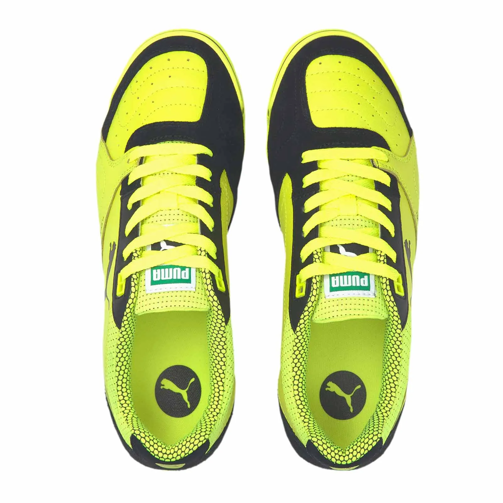 Puma Ibero