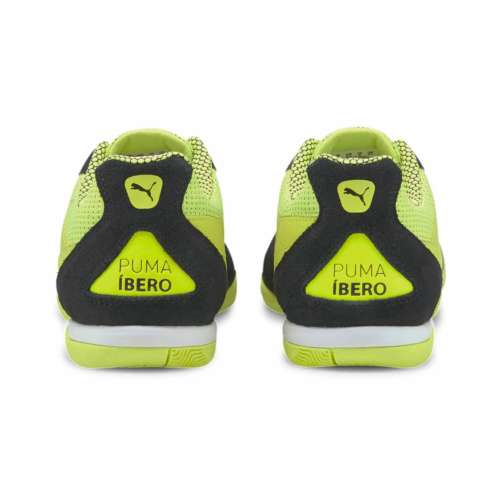 Puma Ibero