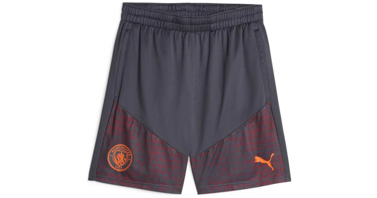 Puma Manchester City