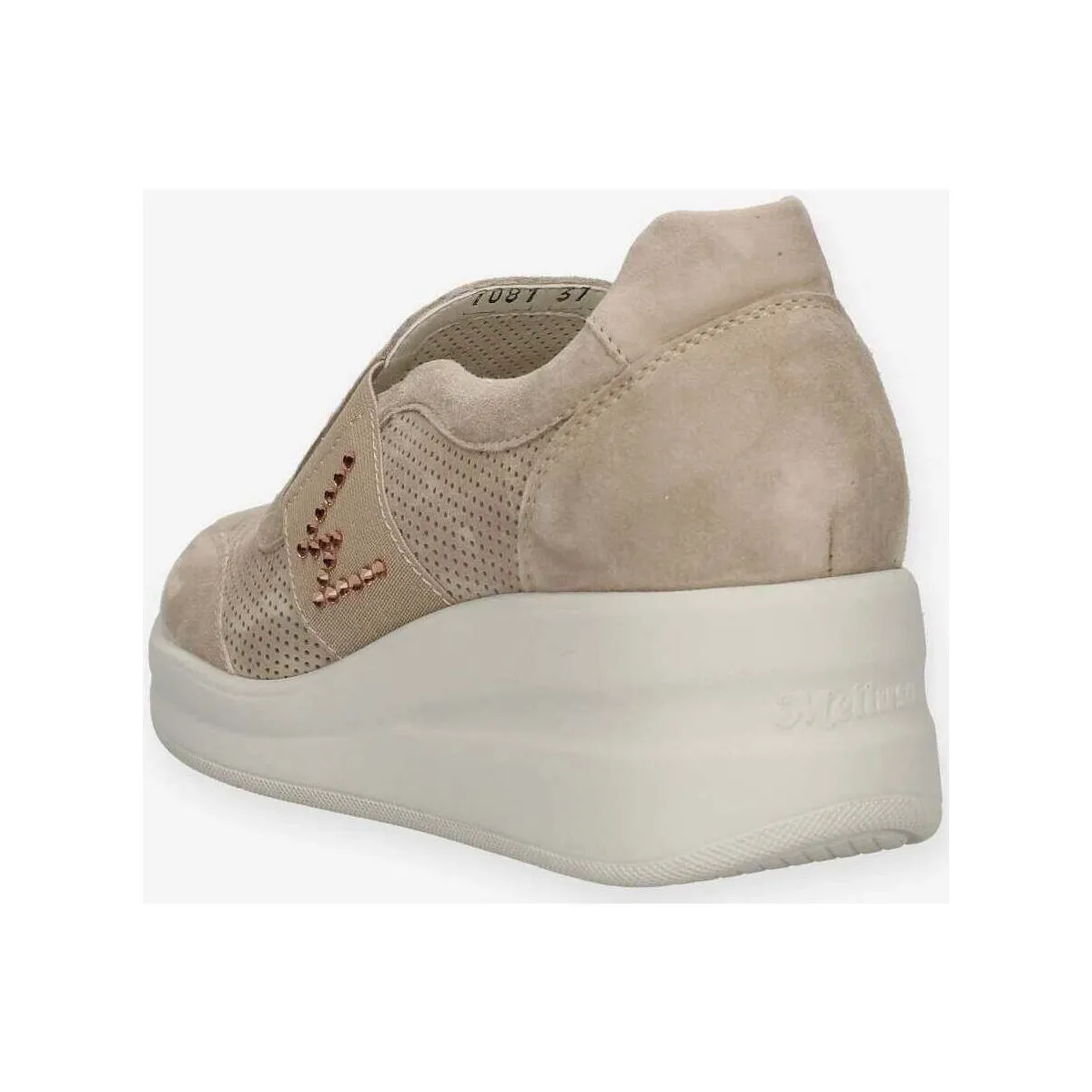 R20255CORDA