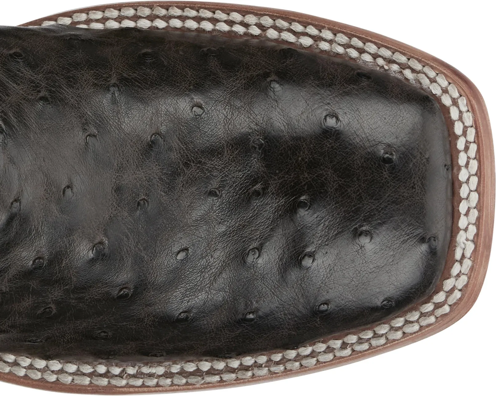 Searcy 11" Full Quill Ostrich