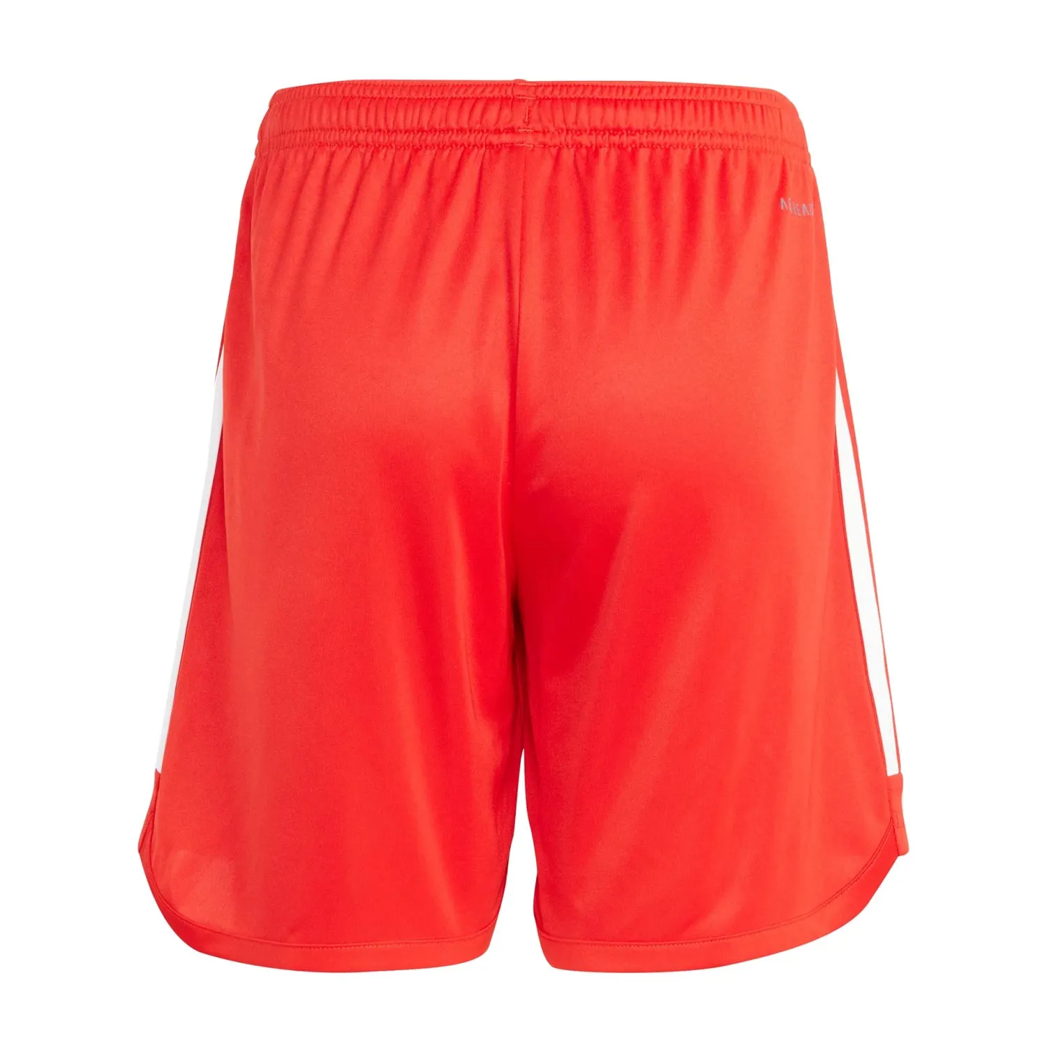 Short adidas Bayern niño 2023 2024