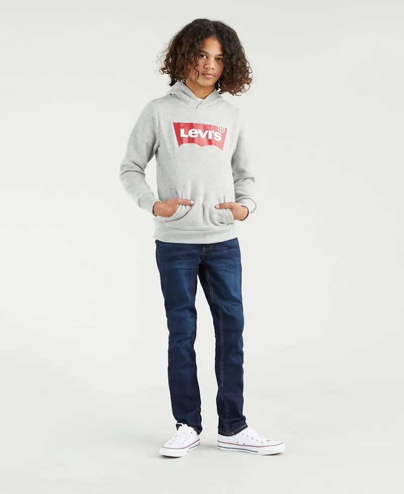 Sudadera LEVI'S Gris Logo (de 10 a 16 años)