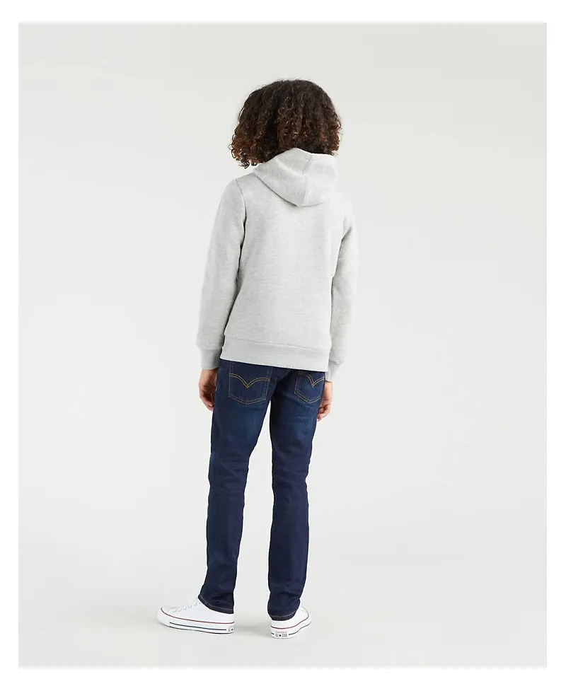 Sudadera LEVI'S Gris Logo (de 10 a 16 años)