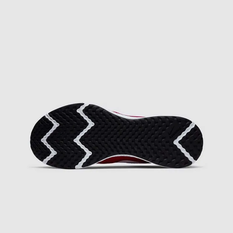 Zapatillas Correr Hombre Revolution 5