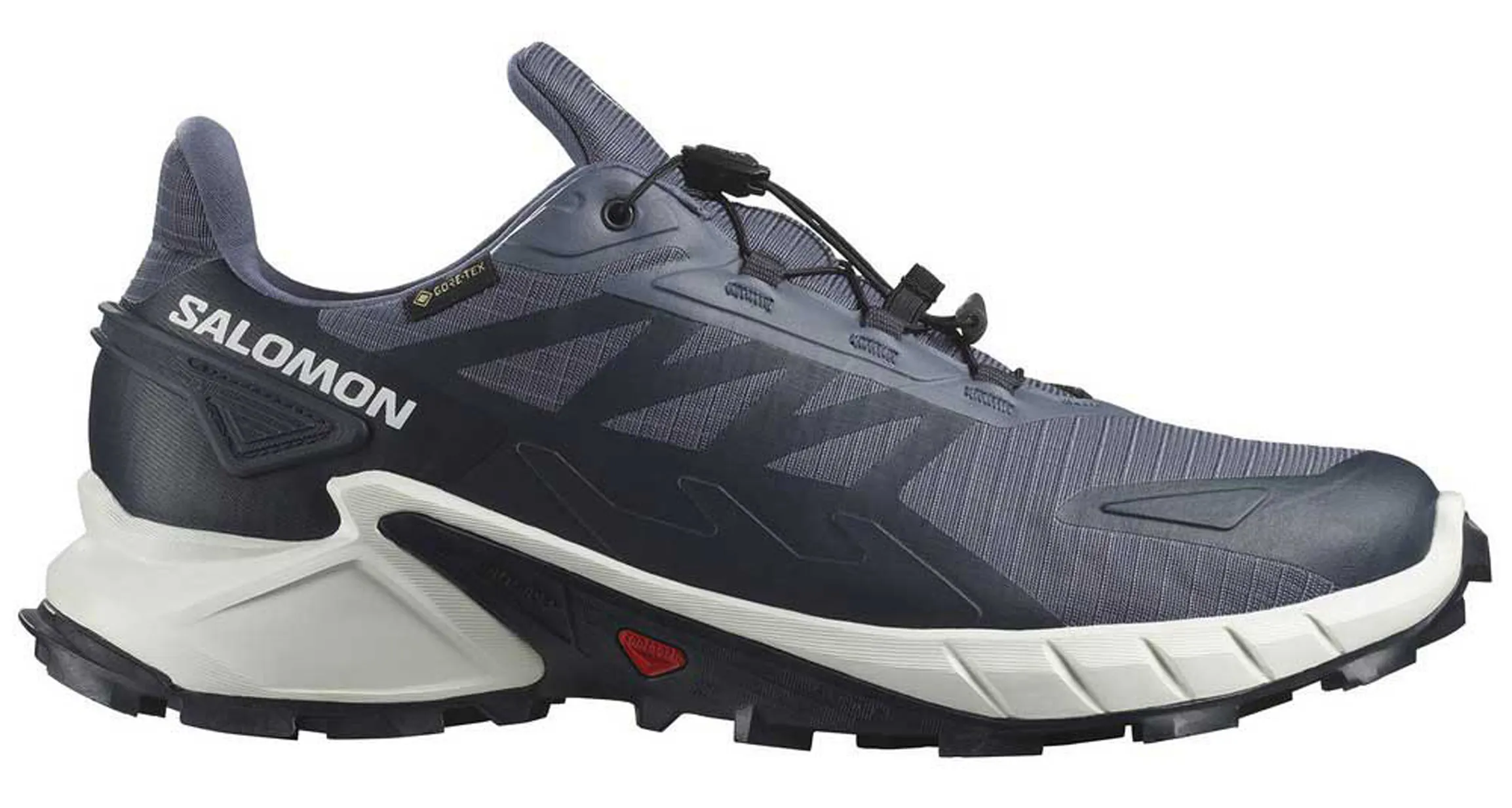 Zapatillas Salomon Supercross 4 GTX Gris